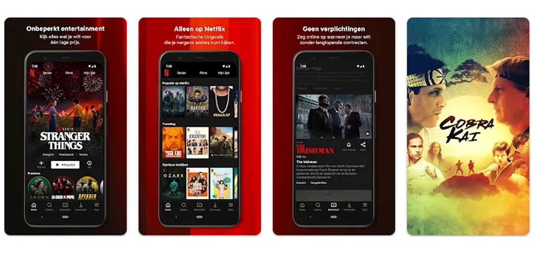 What is Netflix App