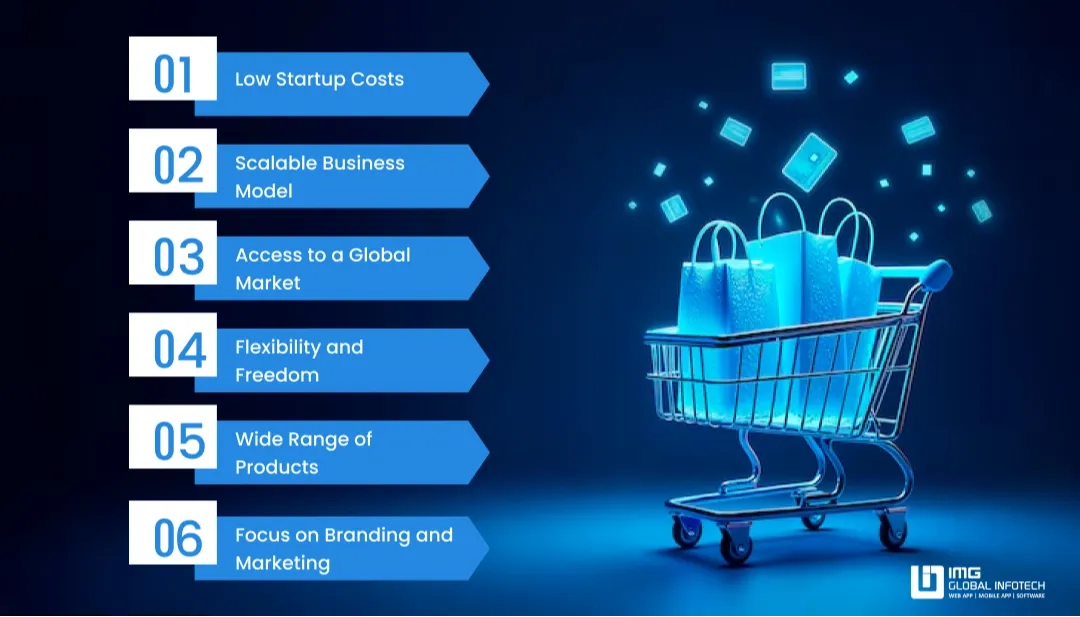 why invest in dropshipping website development