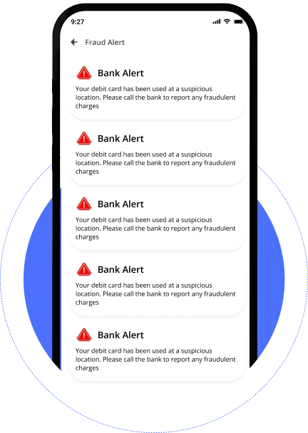 Fraud Alerts