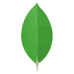 technology logo
