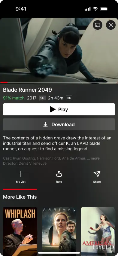 Netflix App Look Like