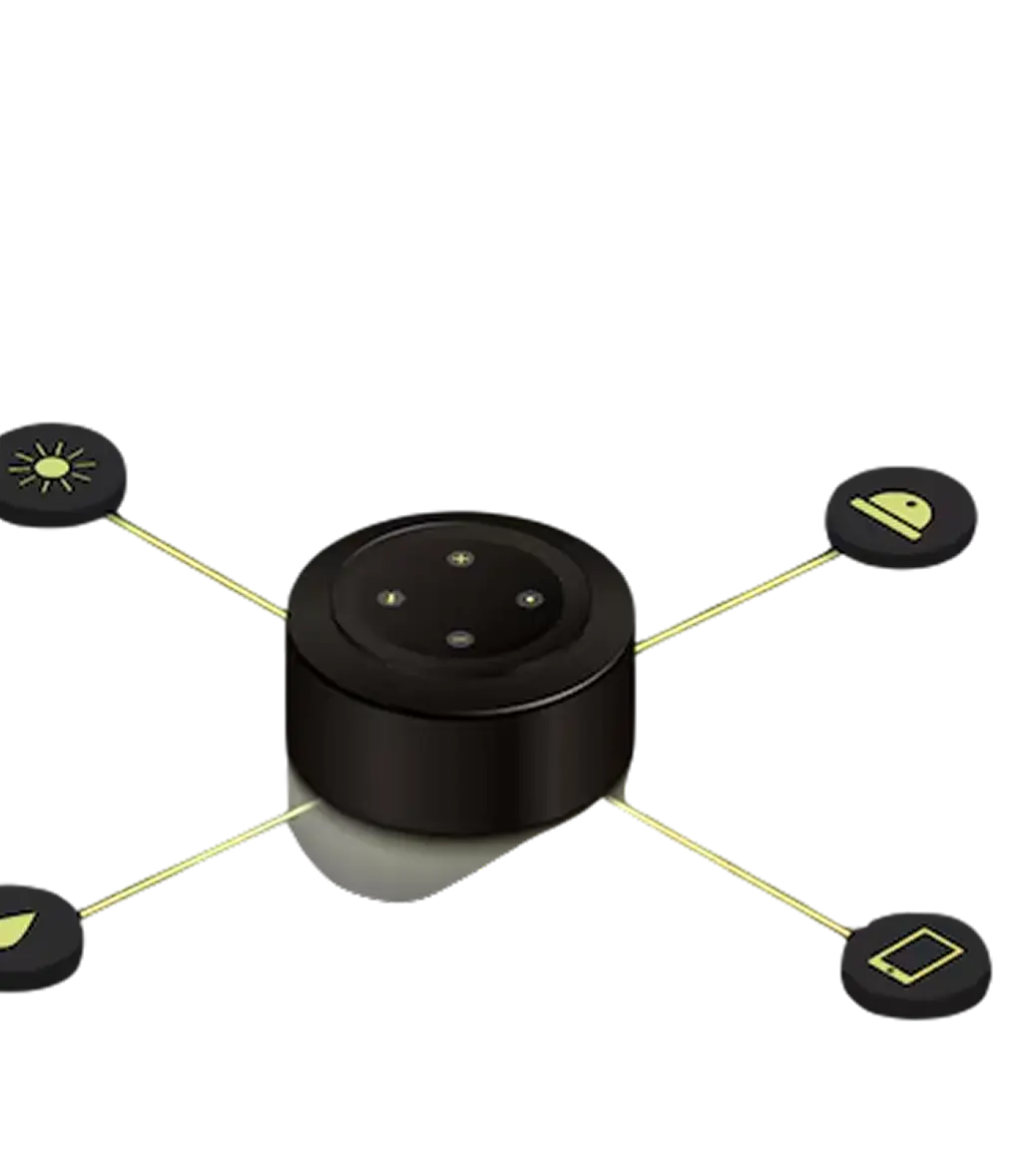Internet of Things (IoT)