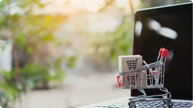 Marketplace Ecommerce Development