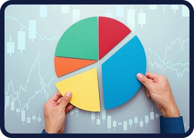 Portfolio Management Software